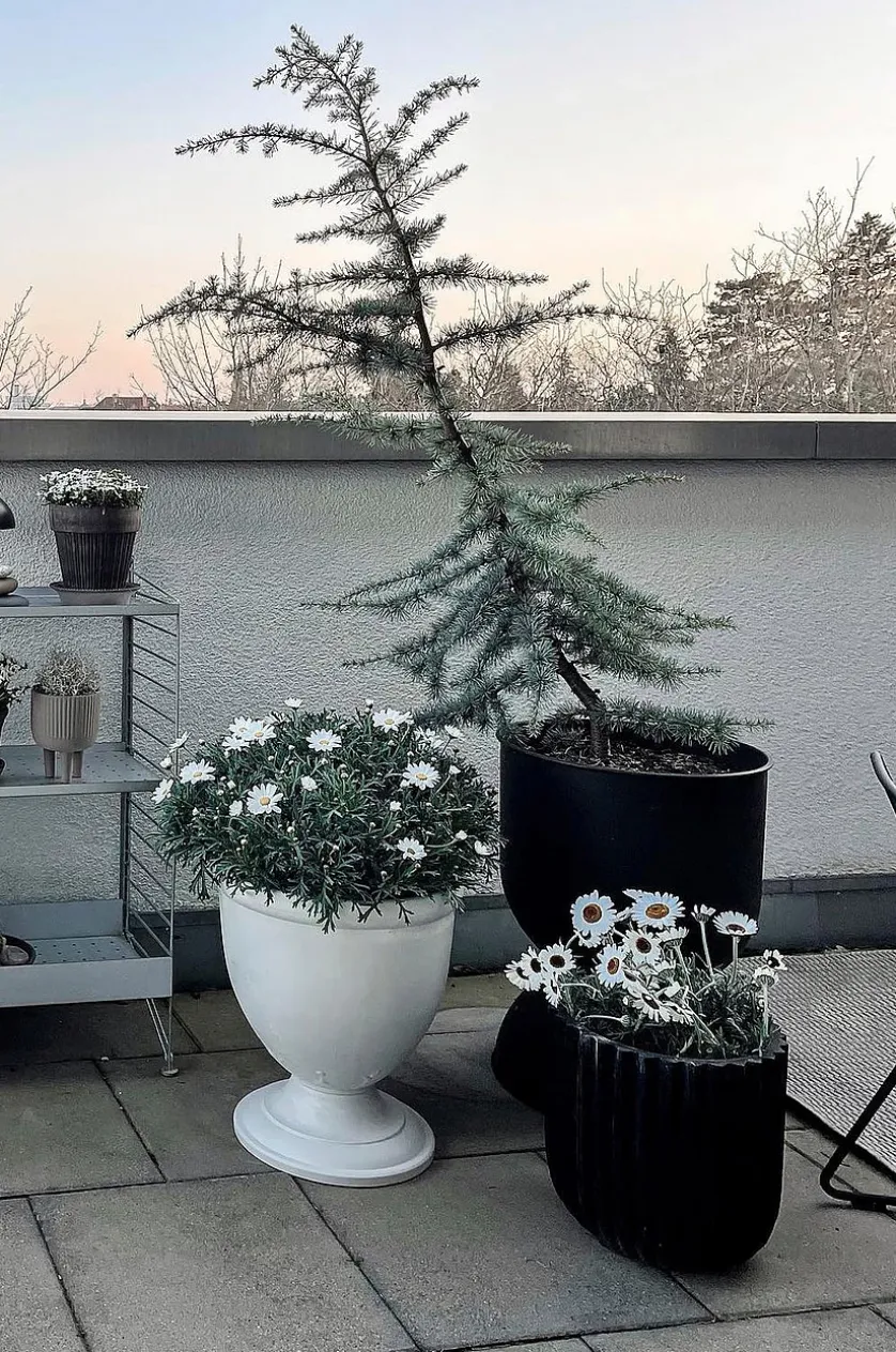 ALICIA Urne ø 38 cm