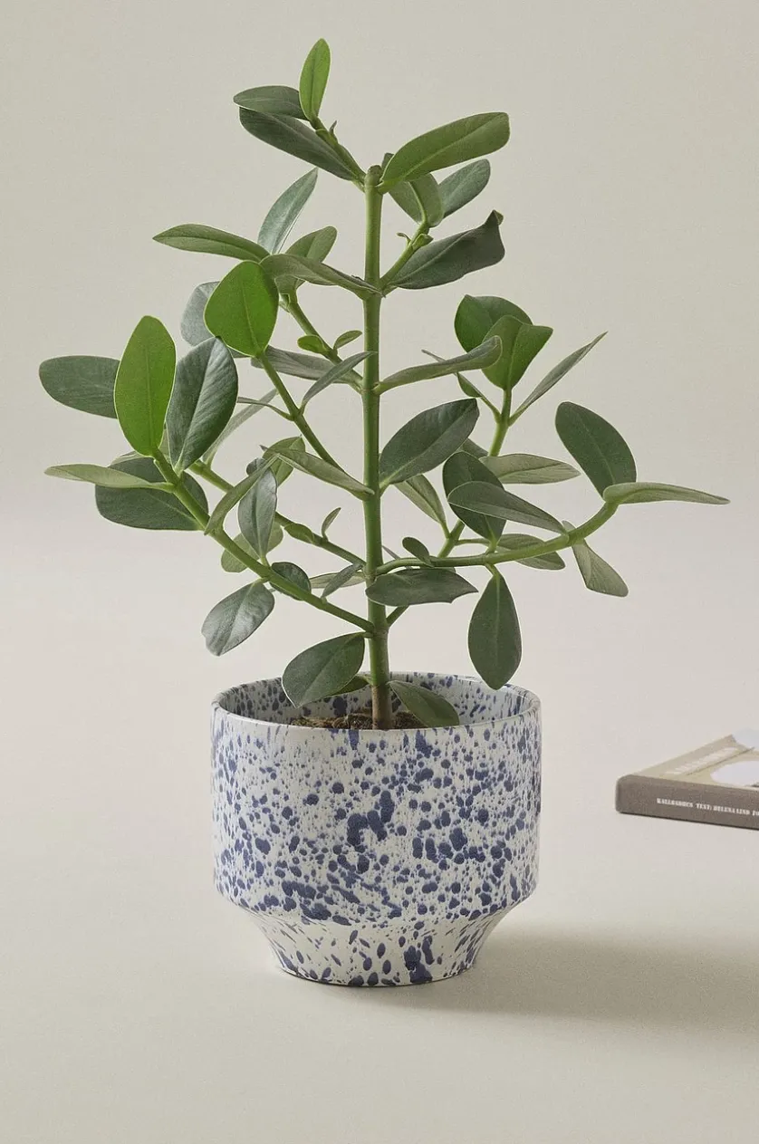 BELLADONNA Übertopf Ø 21,5 cm
