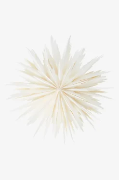 BELLATRIX Weihnachtsstern ø 51 cm