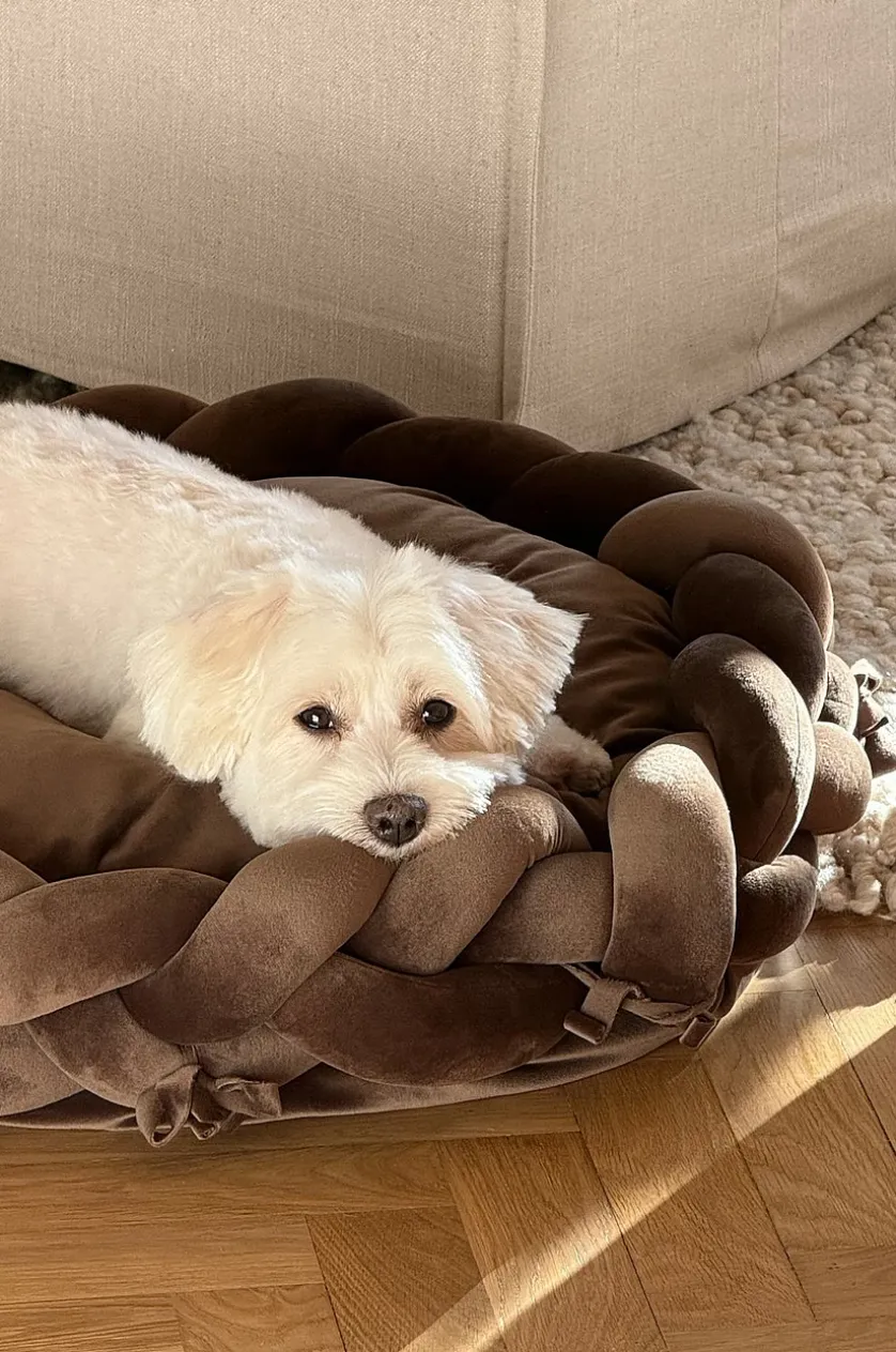 BRADY Hundebett/Katzenbett
