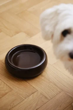 BUBBLE Hunde-/Katzenfressnapf