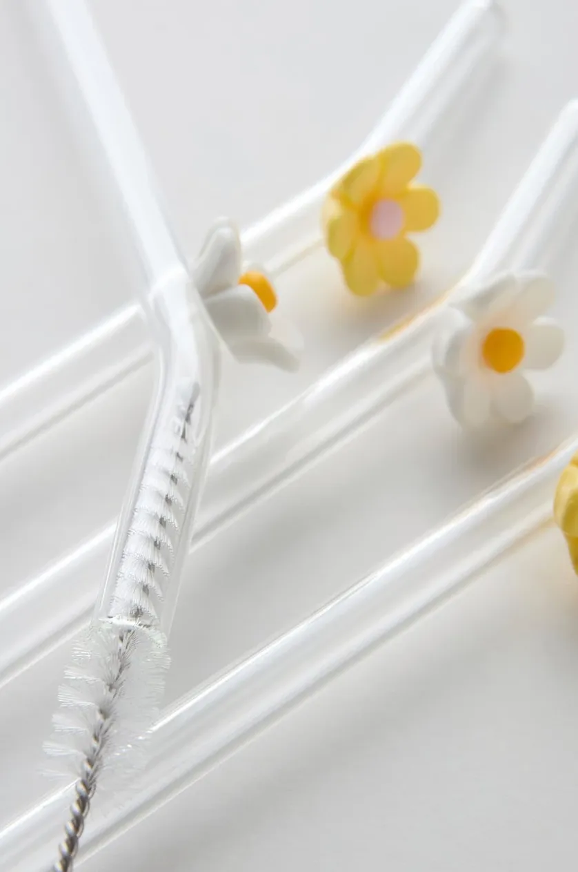 DAISY Strohhalm mit 4er-Pack