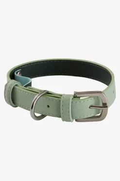 INU Hunde-/Katzenhalsband