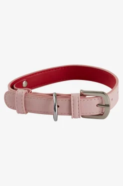 INU Hunde-/Katzenhalsband