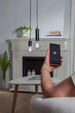 LED-Leuchtmittel A60 Smart Bulb