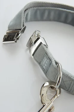 LUCA Hundeleine mit Halsband