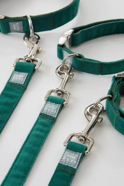 LUCA Hundeleine mit Halsband