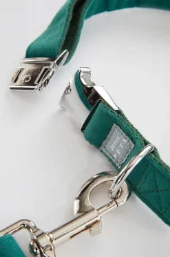 LUCA Hundeleine mit Halsband