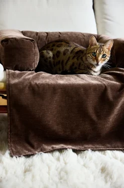 MEDFORD Hundebett/Katzenbett
