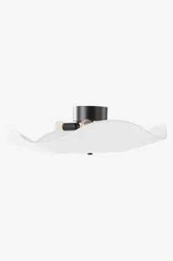 Monshi Plafond