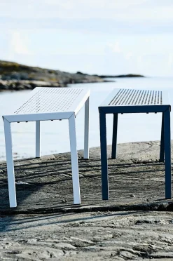 NÄS Bank 100 cm