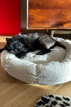 OBI Hundebett/Katzenbett