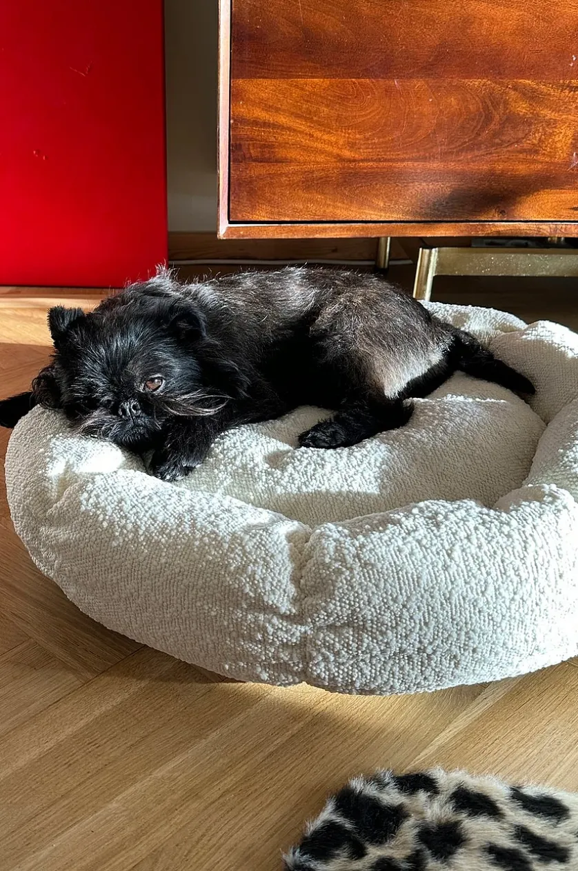 OBI Hundebett/Katzenbett