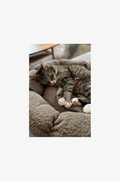 OBI Hundebett/Katzenbett