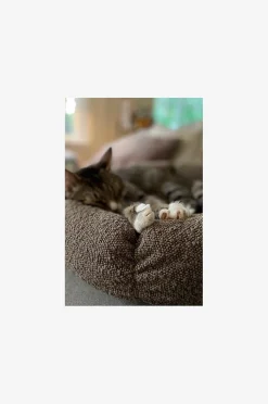 OBI Hundebett/Katzenbett