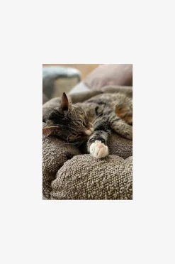 OBI Hundebett/Katzenbett