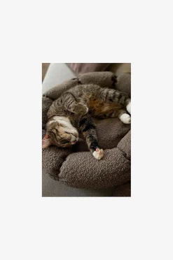 OBI Hundebett/Katzenbett