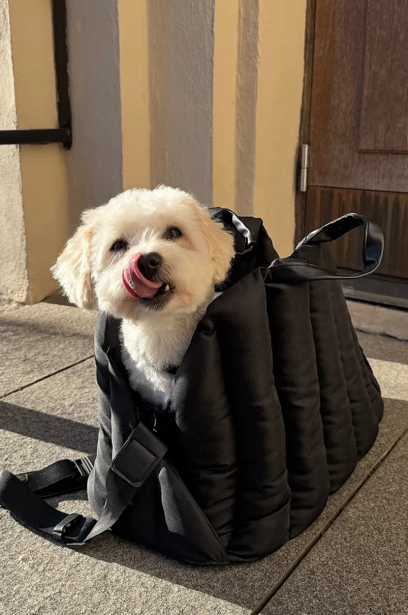PADDY Transporttasche für Tiere