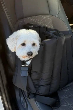 PADDY Transporttasche für Tiere