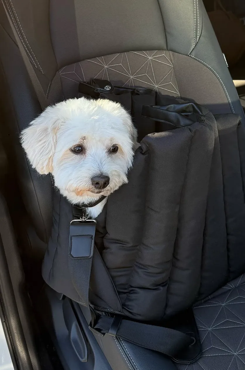 PADDY Transporttasche für Tiere