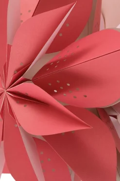 POINSETTIA Weihnachtsstern