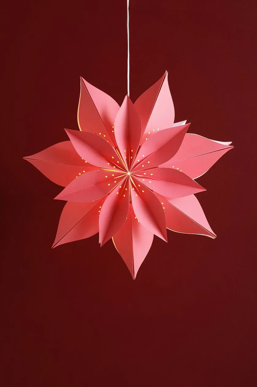 POINSETTIA Weihnachtsstern
