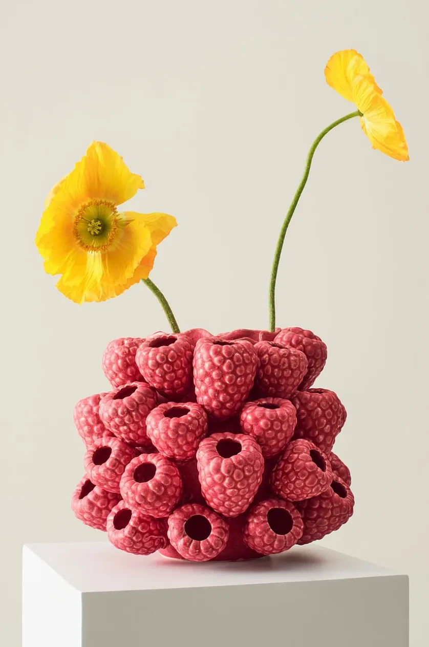 RASPBERRY Vase/Topf