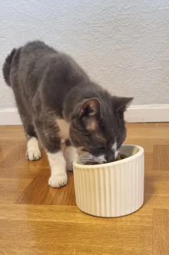 SLURP Hunde-/Katzenfressnapf