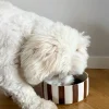 STELLA Hunde-/Katzenfressnapf im 2er-Pack