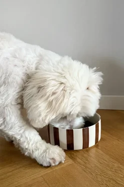 STELLA Hunde-/Katzenfressnapf im 2er-Pack