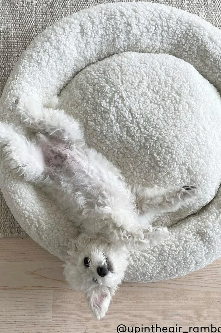 YOSHI Hundebett/Katzenbett