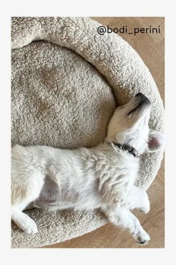 YOSHI Hundebett/Katzenbett
