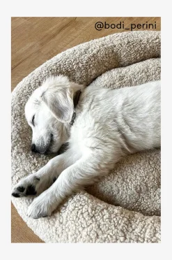 YOSHI Hundebett/Katzenbett
